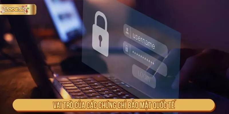 Tại sao cần kiểm tra điều khoản và bảo mật trên website